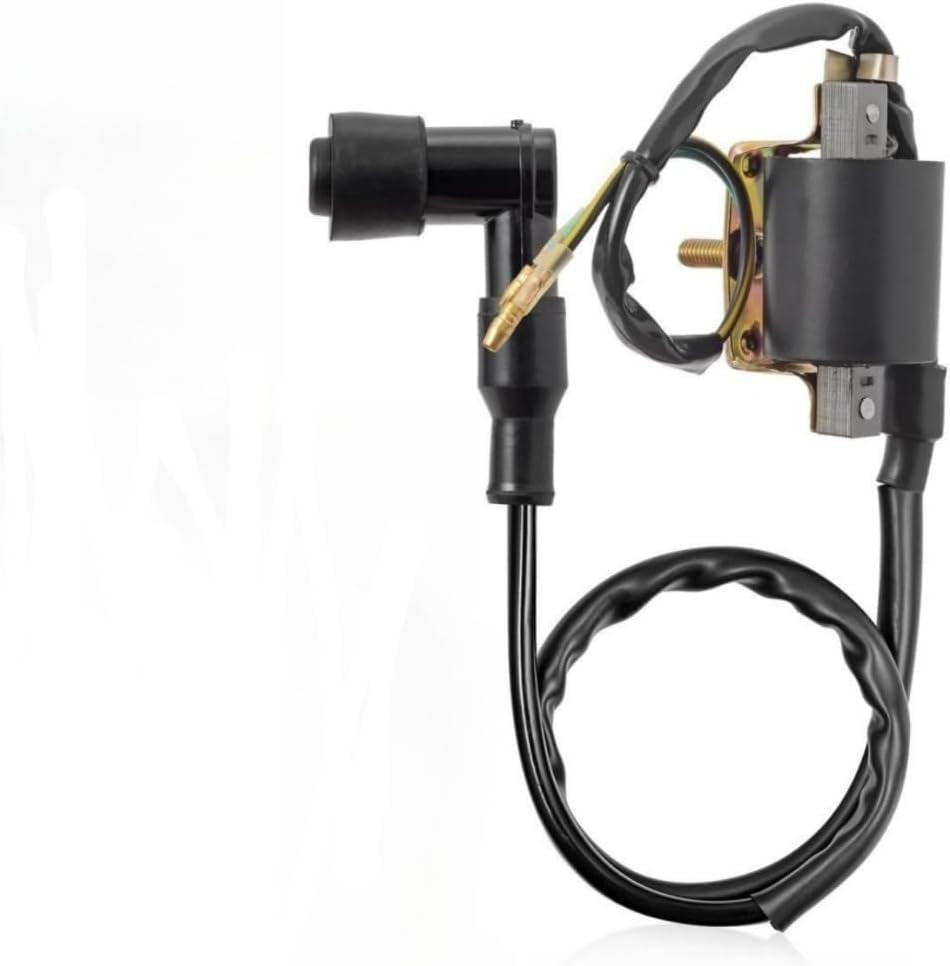 Ignition Coil Kit with 5 Pin AC CDI Box Voltage Regulator Rectifier Solenoid Relay & Spark Plug for Kazuma Meerkat 50Cc Falcon 70Cc 90Cc 110Cc Taotao Roketa Coolster 110CC ATV 3050B