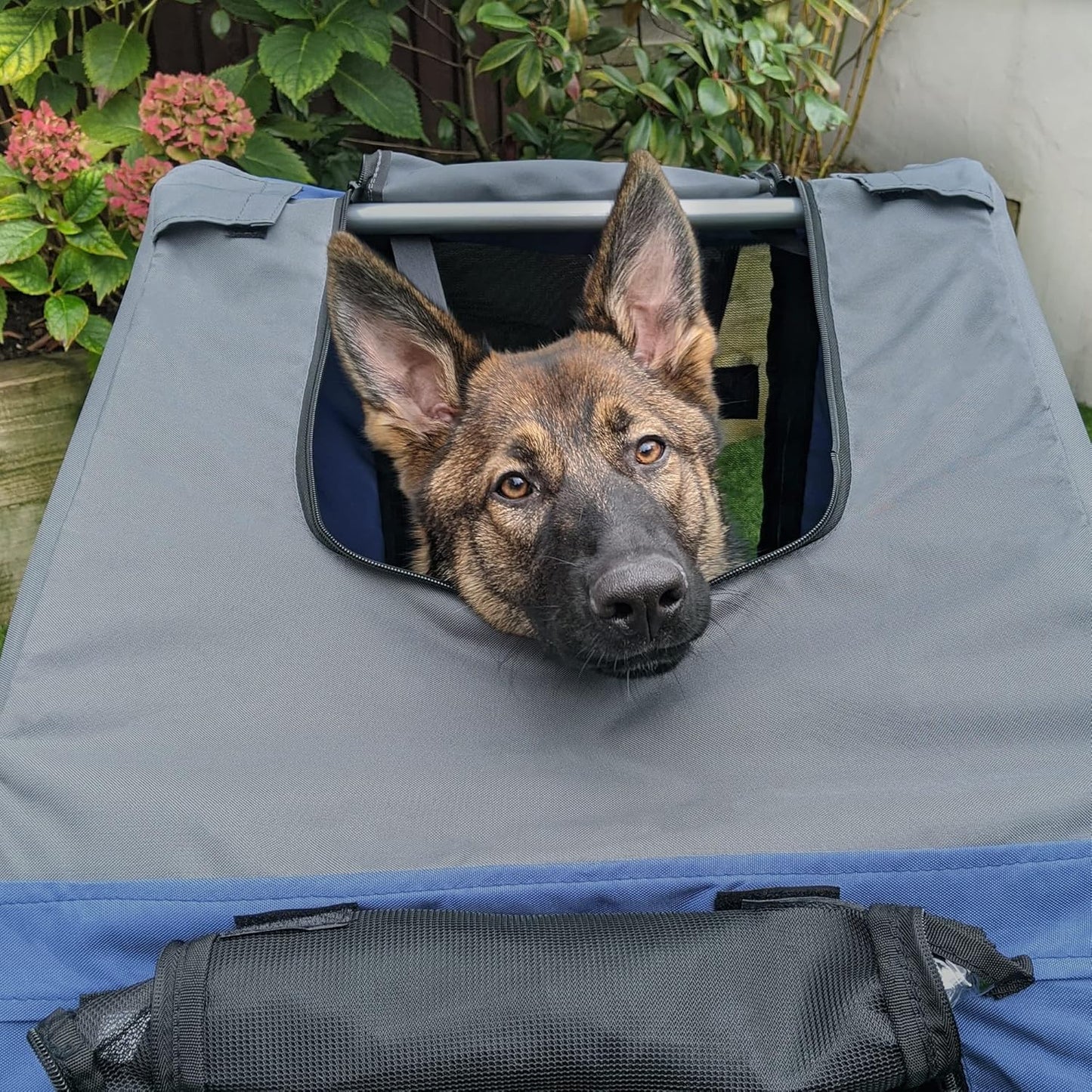 Dog Bike Trailer Pet Cart Bicycle Wagon Cargo Carrier Attachment for Travel with 3 Entrances Large Wheels for Off-Road & Mesh Screen