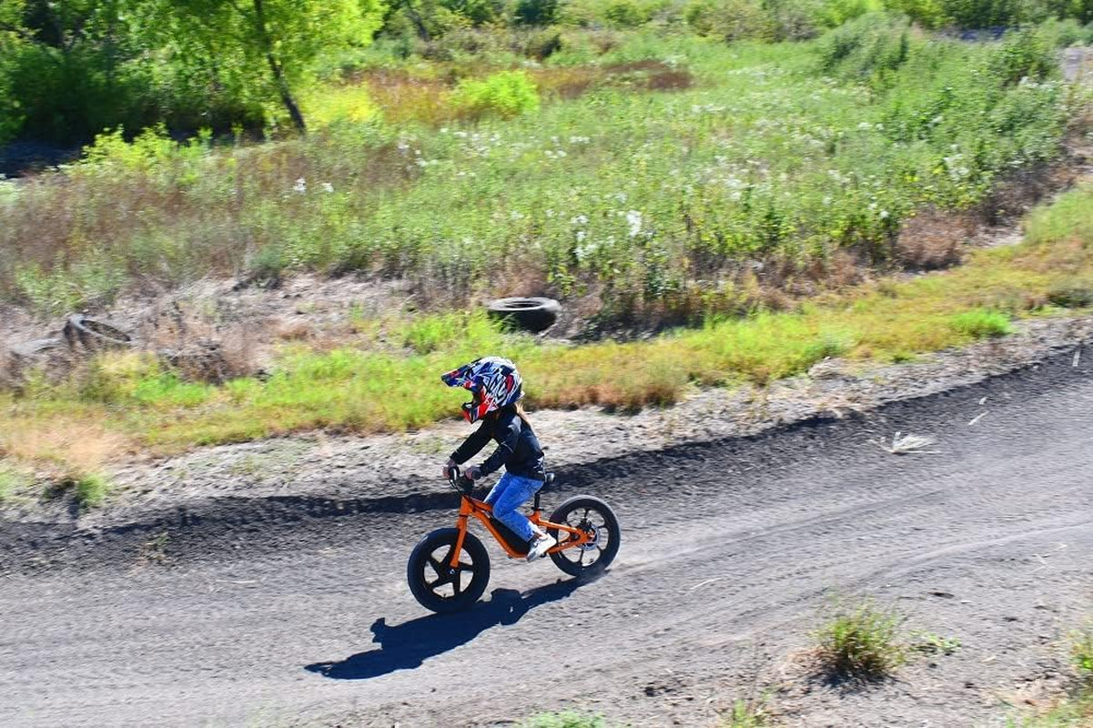 Massimo Motor 24V 350W Electric Balance Bike, Dirt Bike for Kids E13 W/Adjustable Seat Height 16" Large Wheel Aluminum Body Frame up to 6 Hours Long Range Metal Rear Rim(Teal)