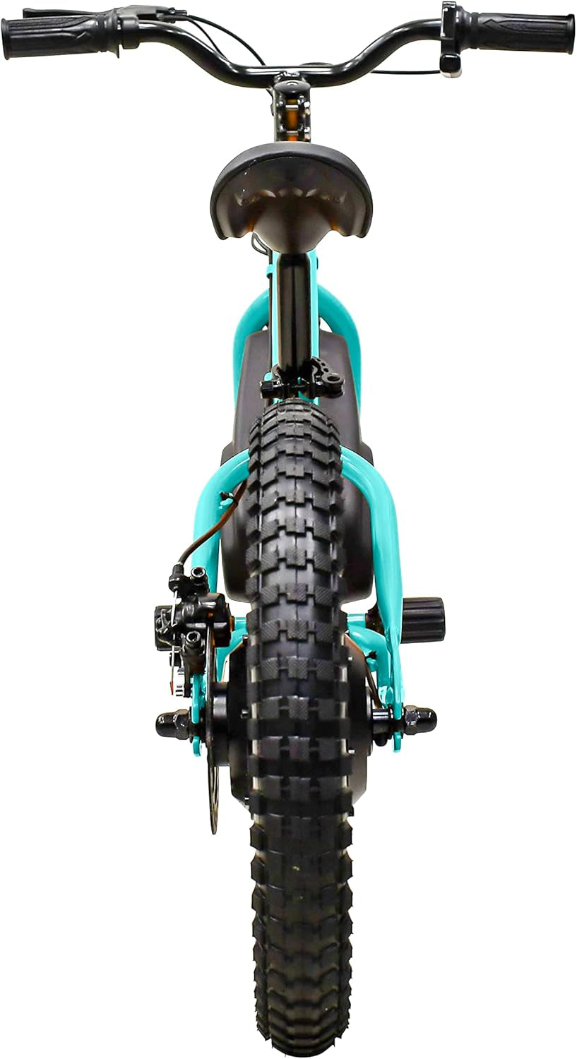 Massimo Motor 24V 350W Electric Balance Bike, Dirt Bike for Kids E13 W/Adjustable Seat Height 16" Large Wheel Aluminum Body Frame up to 6 Hours Long Range Metal Rear Rim(Teal)