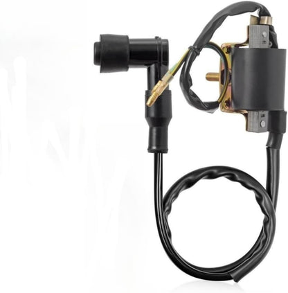 Ignition Coil Kit with 5 Pin AC CDI Box Voltage Regulator Rectifier Solenoid Relay & Spark Plug for Kazuma Meerkat 50Cc Falcon 70Cc 90Cc 110Cc Taotao Roketa Coolster 110CC ATV 3050B