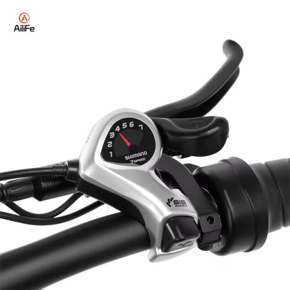 EU Warehouse Free Shipping 250W 500W 1000W MTB Electric Mountain Bicycle 20 Inch Electric Mountain Bike