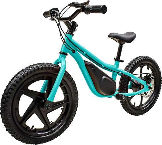 Massimo Motor 24V 350W Electric Balance Bike, Dirt Bike for Kids E13 W/Adjustable Seat Height 16" Large Wheel Aluminum Body Frame up to 6 Hours Long Range Metal Rear Rim(Teal)
